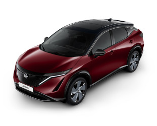 BURGUNDY PEARL (XGG)